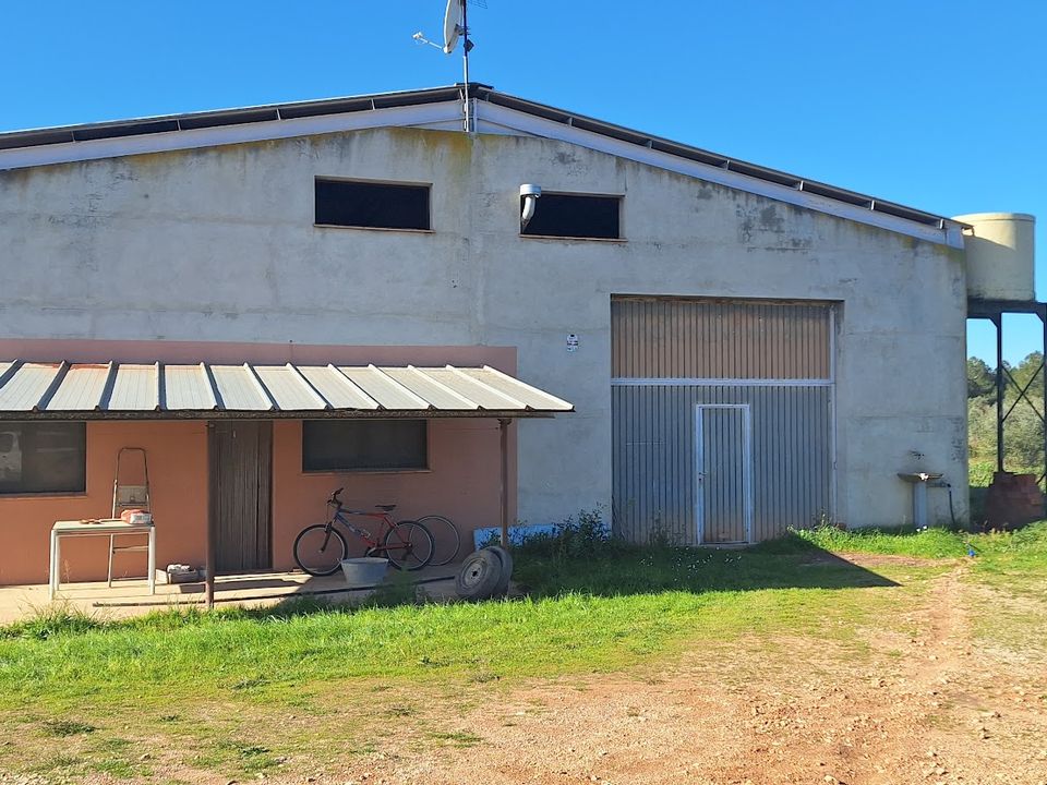 Finca i Ginestar, Tarragona - bilde 4